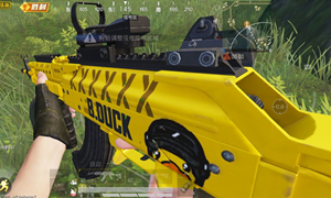 和平精英exp含义解析