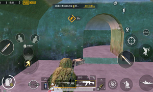 和平精英tpp含义解析