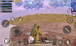 和平精英kd值含义解析