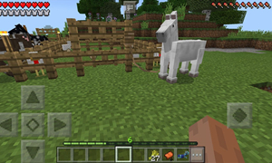 我的世界马驯服方法