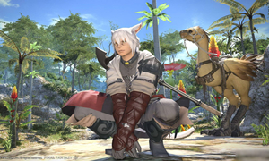 FF14战士480hq制作方法