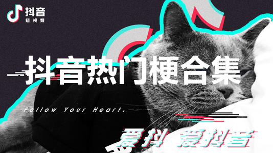 2021抖音梗合集?