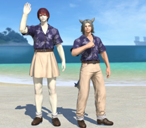 FF145.3富婆衣外观展示?