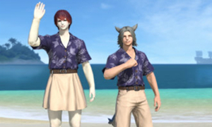 FF145.3富婆衣制作宏材料介绍?