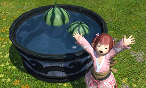 FF14西瓜宠物获取方法?