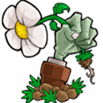 植物大战僵尸北美版2021