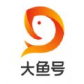 阿里大鱼号app