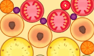 合成大西瓜梗含义解析