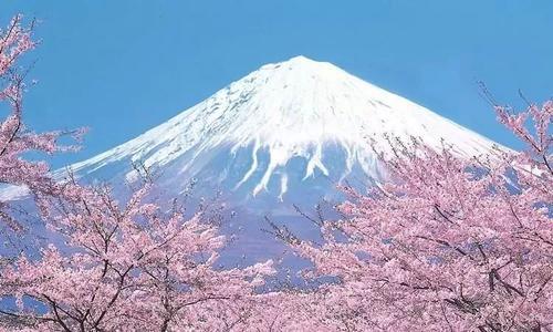 最强蜗牛富士山土地归属权介绍