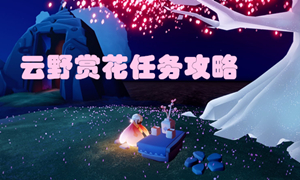 光遇云野赏花位置介绍