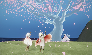 光遇樱花树烛火出现时间介绍