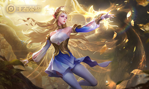 王者荣耀艾琳同阵营英雄介绍