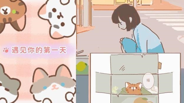 遇见你的猫猫咪获取方式