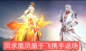 王者荣耀凤凰偕飞特效价格介绍