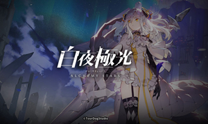 白夜极光角色排名攻略