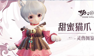 梦幻新诛仙白猫小仙攻略