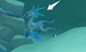 创造与魔法疗海龙饲料制作攻略