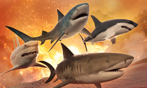 创造与魔法沉眠凶鲨饲料制作攻略