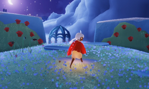 光遇小王子第一次捉迷藏位置介绍