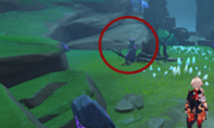 原神千来神祠石板位置介绍