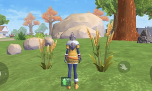 创造与魔法水稻位置介绍