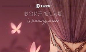 王者荣耀婚纱系列皮肤价格介绍