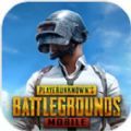 pubgmobile绝地求生m下载安装