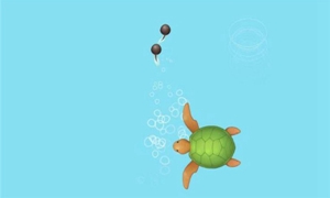 召唤神龙在哪玩