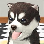 狗子重生模拟器内置菜单