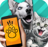 pet translator宠物对话翻译器