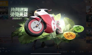 和平精英极速兔兔车兑换码一览