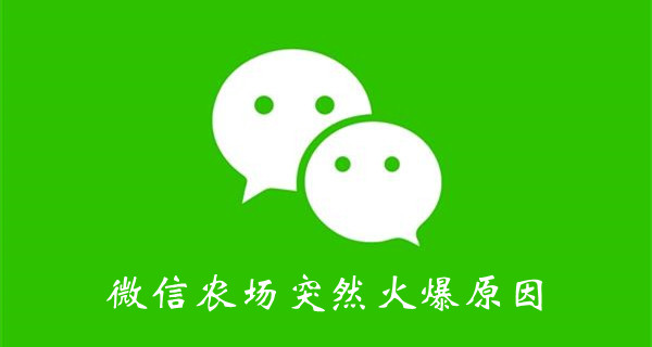 微信农场为什么这么火