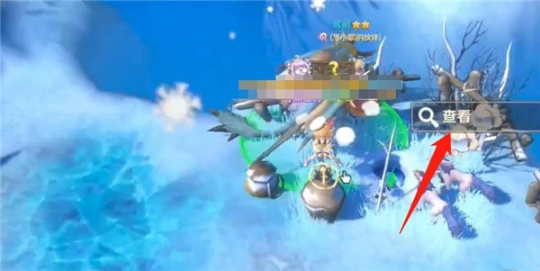 龙之国物语雪花在哪里?