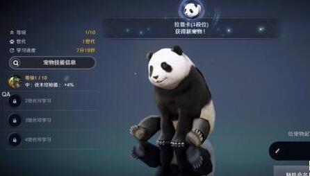 黑色沙漠熊猫怎么获得?