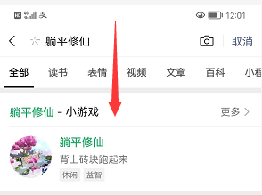 躺平发育仙侠版在哪玩