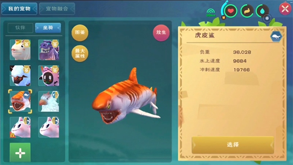 创造与魔法虎皮鲨位置2022