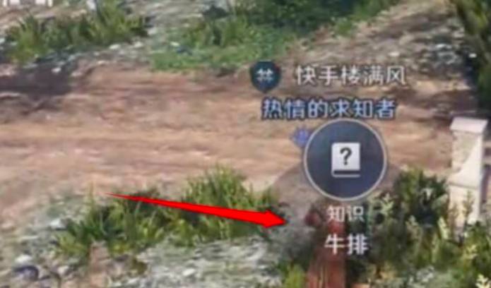 黑色沙漠手游完美的牛排在哪?