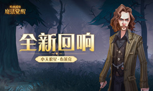 哈利波特魔法觉醒小天狼星回响卡组攻略